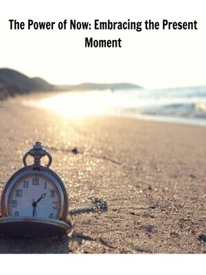 cover image of The Power of Now
